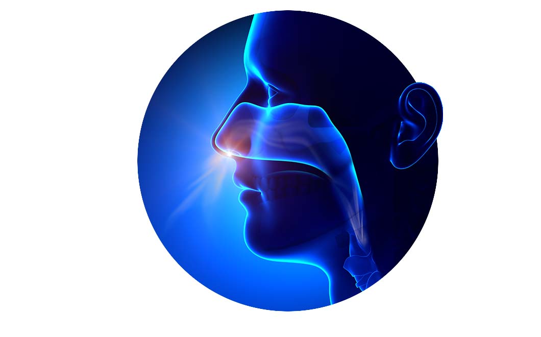 Nose_Page _Image